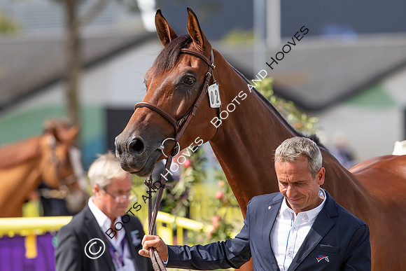The FEI World Championships Herning 2022