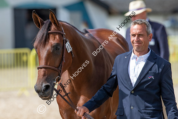 The FEI World Championships Herning 2022