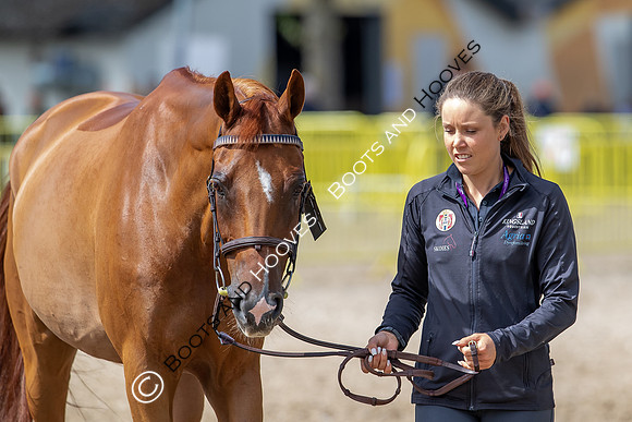 The FEI World Championships Herning 2022