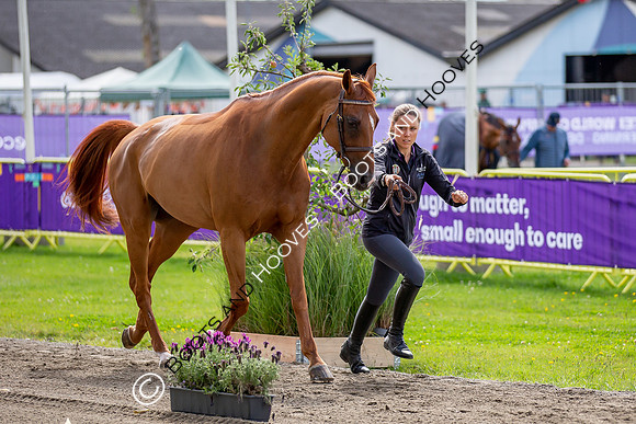 The FEI World Championships Herning 2022