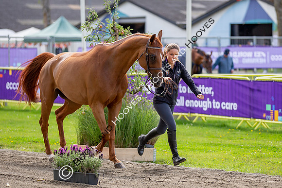 The FEI World Championships Herning 2022