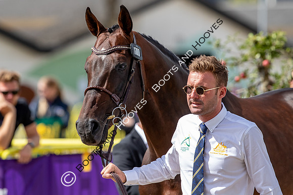 The FEI World Championships Herning 2022