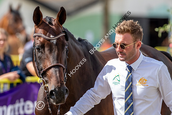 The FEI World Championships Herning 2022
