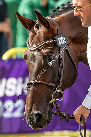 The FEI World Championships Herning 2022