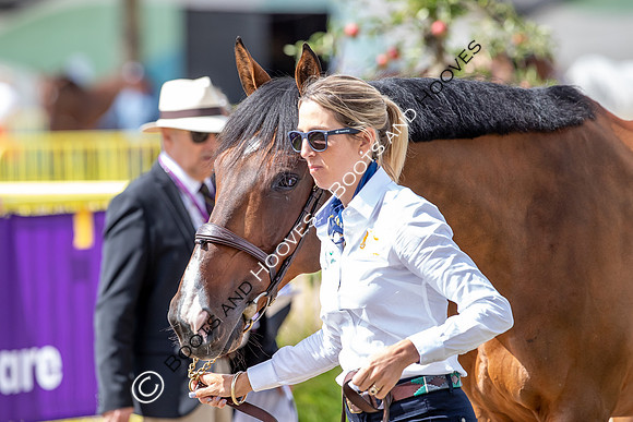The FEI World Championships Herning 2022