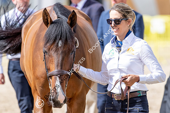 The FEI World Championships Herning 2022