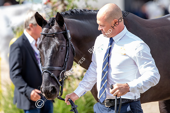 The FEI World Championships Herning 2022