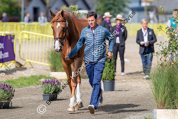 The FEI World Championships Herning 2022