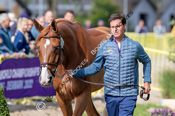 The FEI World Championships Herning 2022