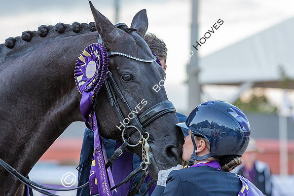 The FEI World Championships Herning 2022