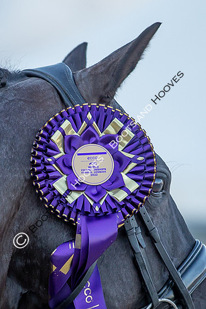 The FEI World Championships Herning 2022