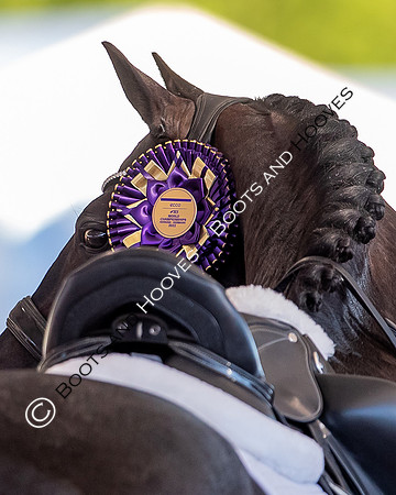 The FEI World Championships Herning 2022