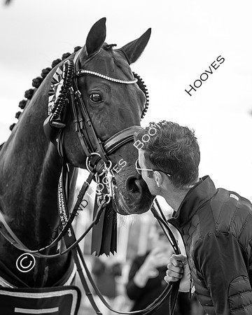 The FEI World Championships Herning 2022