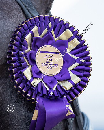 The FEI World Championships Herning 2022