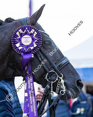 The FEI World Championships Herning 2022