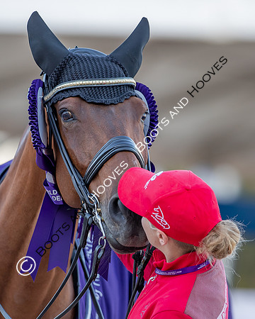 The FEI World Championships Herning 2022