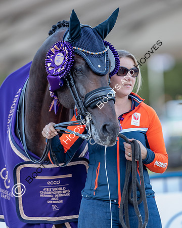 The FEI World Championships Herning 2022