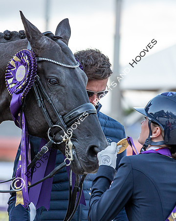 The FEI World Championships Herning 2022