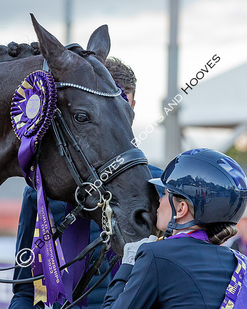 The FEI World Championships Herning 2022