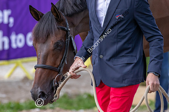 The FEI World Championships Herning 2022