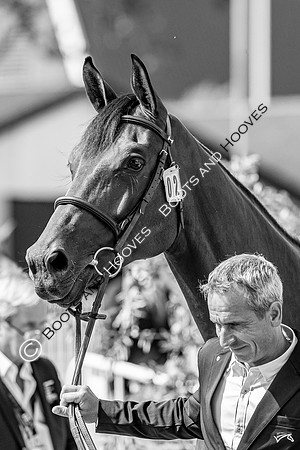 The FEI World Championships Herning 2022