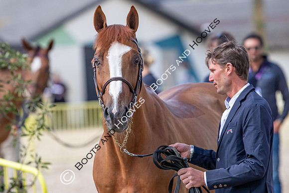The FEI World Championships Herning 2022