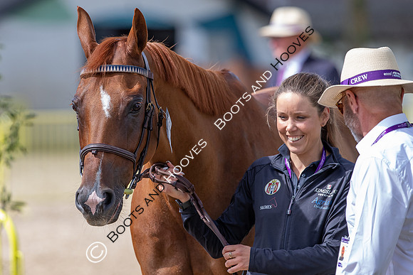 The FEI World Championships Herning 2022