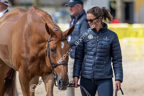 The FEI World Championships Herning 2022