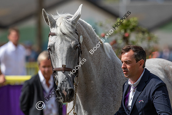 The FEI World Championships Herning 2022