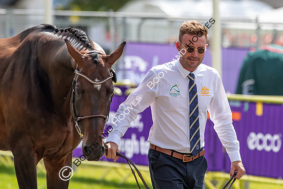 The FEI World Championships Herning 2022