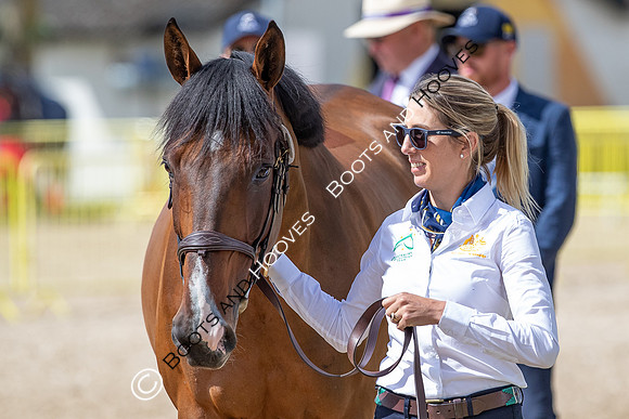 The FEI World Championships Herning 2022