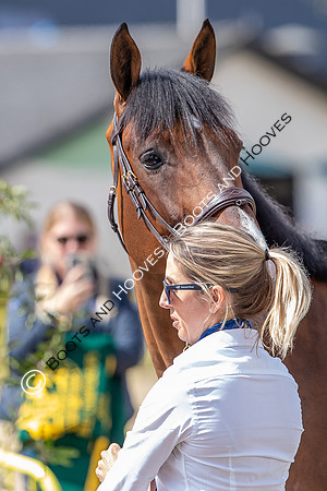 The FEI World Championships Herning 2022