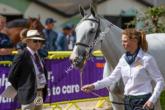The FEI World Championships Herning 2022