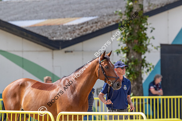 The FEI World Championships Herning 2022