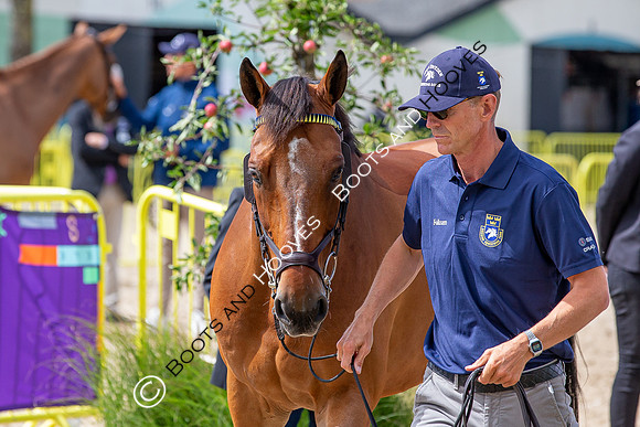 The FEI World Championships Herning 2022
