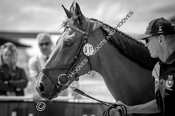 The FEI World Championships Herning 2022