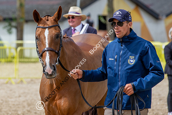 The FEI World Championships Herning 2022