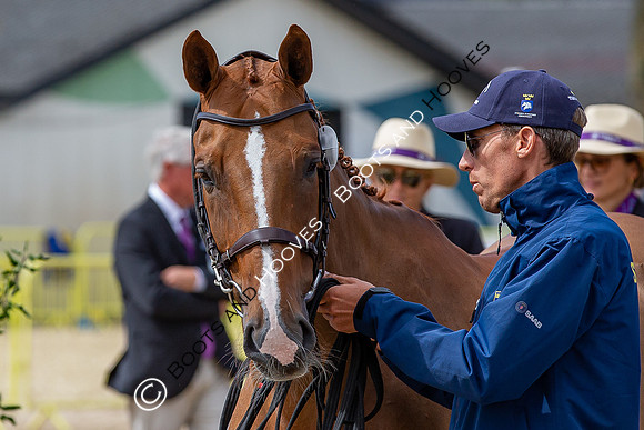 The FEI World Championships Herning 2022