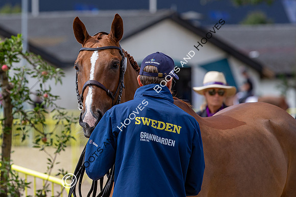 The FEI World Championships Herning 2022