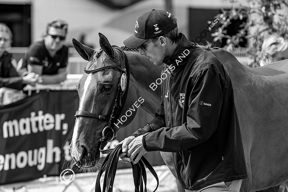 The FEI World Championships Herning 2022