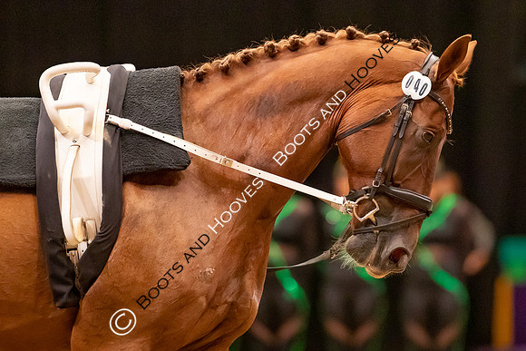 The FEI World Championships Herning 2022