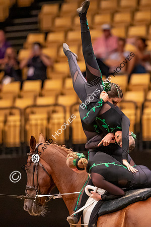 The FEI World Championships Herning 2022