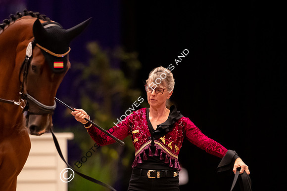 The FEI World Championships Herning 2022