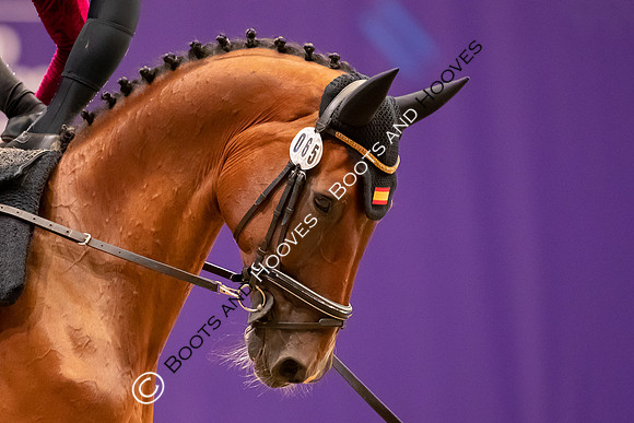 The FEI World Championships Herning 2022