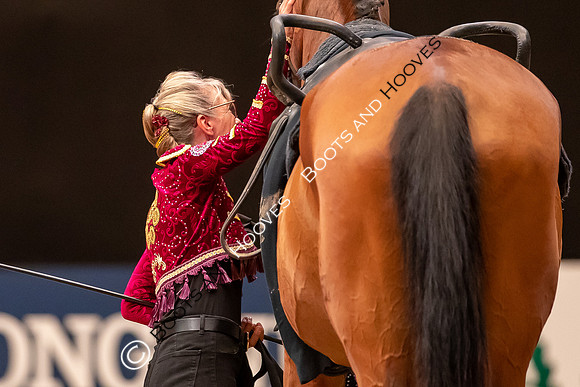 The FEI World Championships Herning 2022