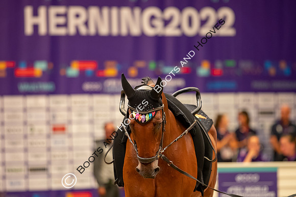 The FEI World Championships Herning 2022