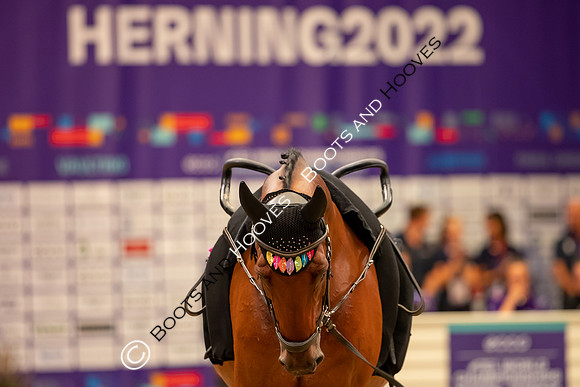 The FEI World Championships Herning 2022