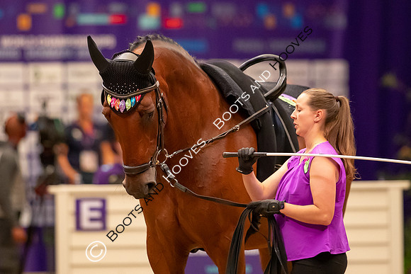 The FEI World Championships Herning 2022