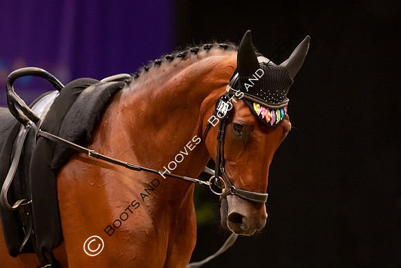 The FEI World Championships Herning 2022