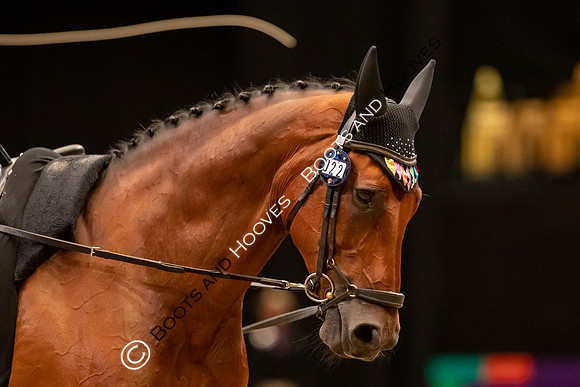 The FEI World Championships Herning 2022